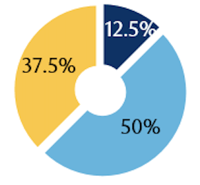 37.5% Materials ABC Inc., 12.5% Tech 789 Inc., 50% Energy 123 inc.